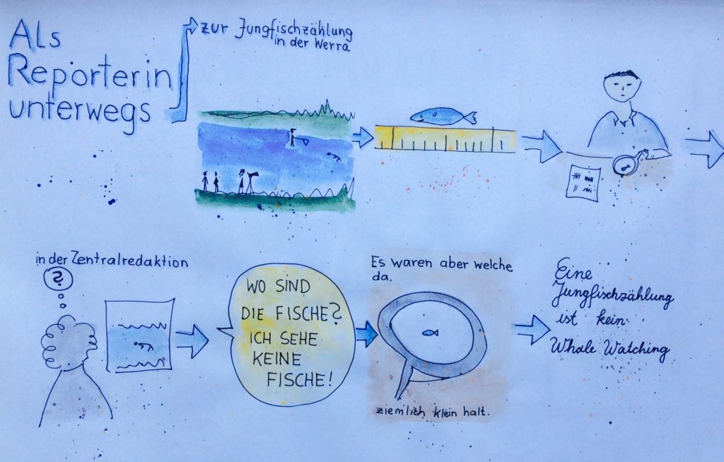 Comic über einen Dreh über eine Fischzählung, wo kleine Fische gezählt wurden. Die Redaktion hatte jedoch große Fische erwartet und war unzufrieden. 